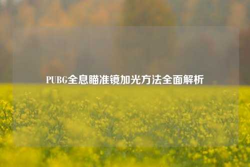 PUBG全息瞄准镜加光 *** 全面解析
