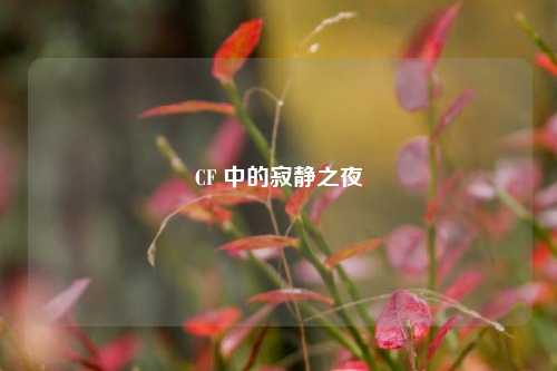 CF 中的寂静之夜