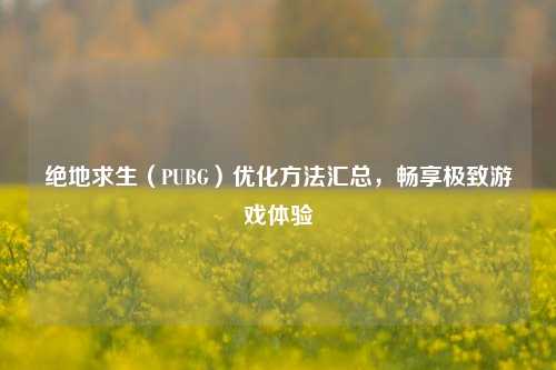 绝地求生(PUBG)优化 *** 汇总,畅享极致游戏体验