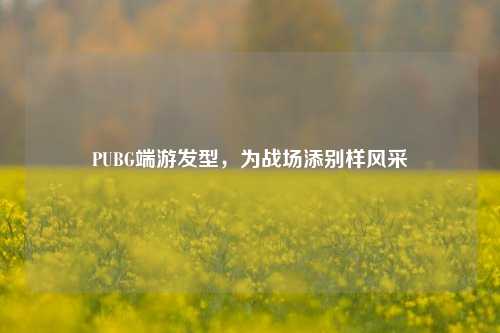 PUBG端游发型,为战场添别样风采