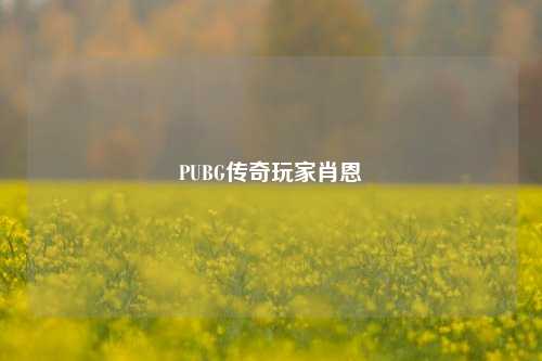 PUBG传奇玩家肖恩
