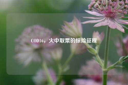 COD16,火中取栗的惊险征程