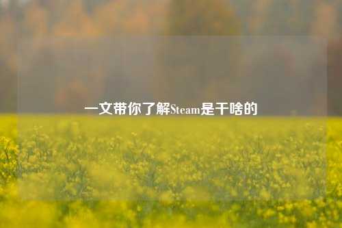 一文带你了解Steam是干啥的