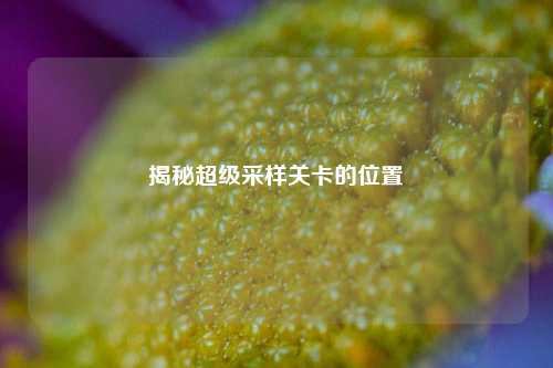 揭秘超级采样关卡的位置