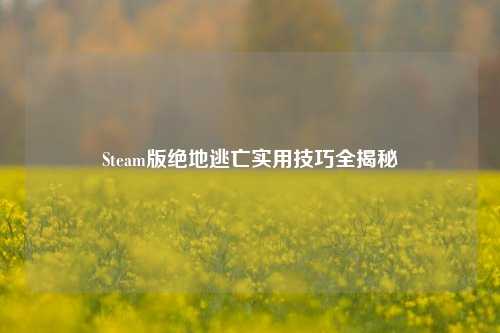 Steam版绝地逃亡实用技巧全揭秘