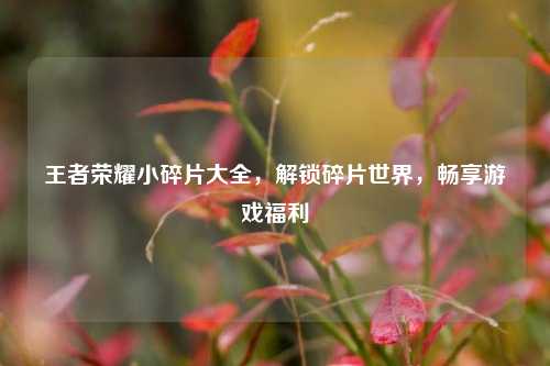 王者荣耀小碎片大全,解锁碎片世界,畅享游戏福利