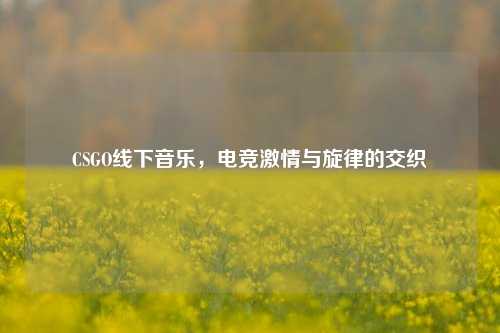 CSGO线下音乐,电竞***与旋律的交织