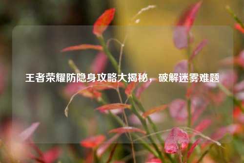 王者荣耀防隐身攻略大揭秘,破解迷雾难题