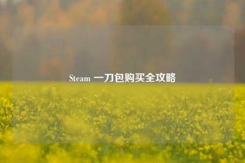 Steam 一刀包购买全攻略