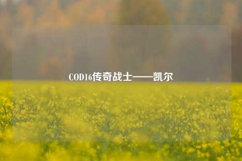 COD16传奇战士——凯尔