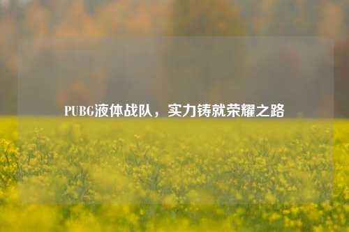 PUBG液体战队,实力铸就荣耀之路