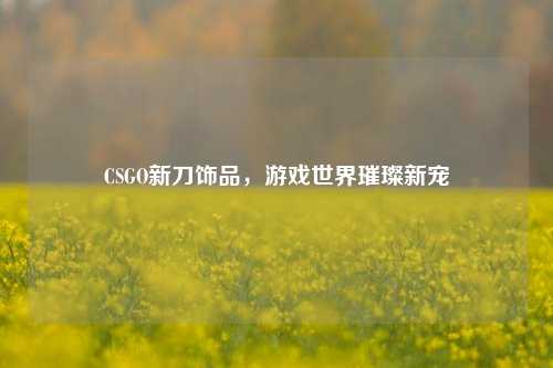 CSGO新刀饰品,游戏世界璀璨新宠