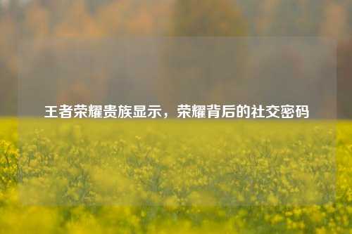 王者荣耀贵族显示,荣耀背后的社交密码