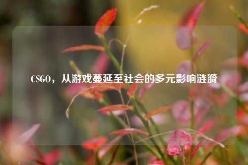 CSGO,从游戏蔓延至社会的多元影响涟漪
