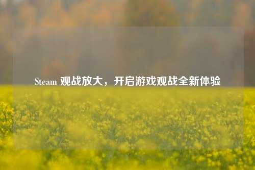 Steam 观战放大,开启游戏观战全新体验