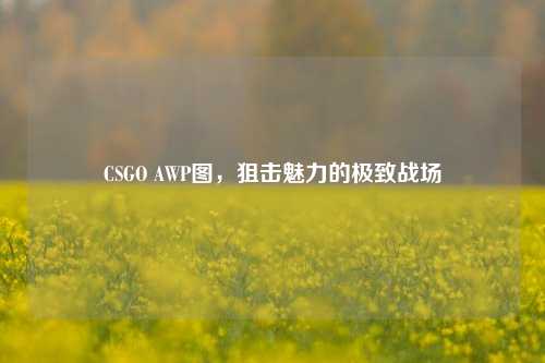 CSGO AWP图,狙击魅力的极致战场