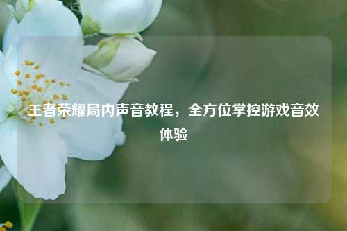 王者荣耀局内声音教程,全方位掌控游戏音效体验