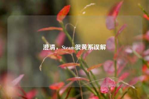 澄清,Steam很黄系误解