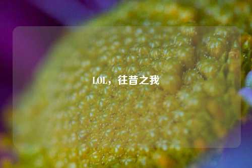 LOL,往昔之我