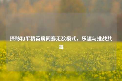 探秘和平精英房间赛无敌模式,乐趣与挑战共舞