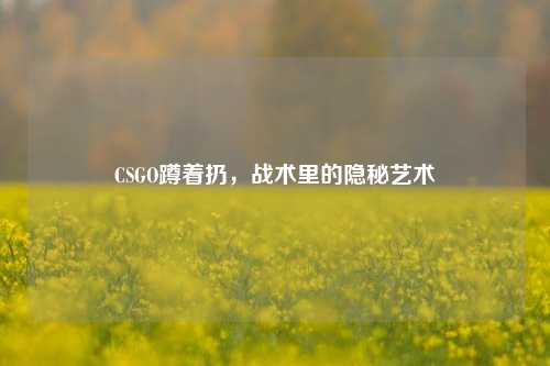 CSGO蹲着扔,战术里的隐秘艺术