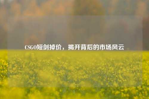 CSGO短剑掉价,揭开背后的市场风云