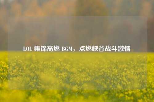 LOL 集锦高燃 BGM,点燃峡谷战斗***