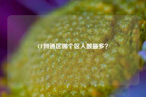 CF网通区哪个区人数最多?