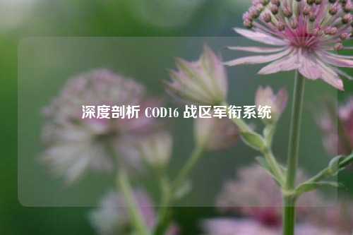 深度剖析 COD16 战区军衔系统