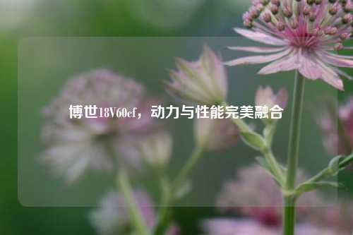 博世18V60cf,动力与性能完美融合