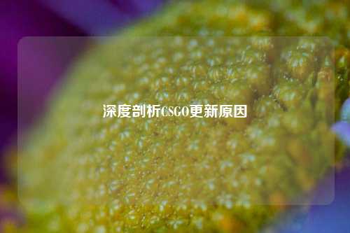 深度剖析CSGO更新原因