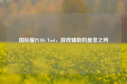 国际服PUBG Tool,游戏辅助的是非之辨