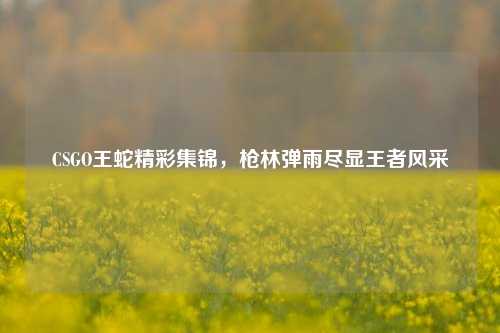 CSGO王蛇精彩集锦,枪林弹雨尽显王者风采