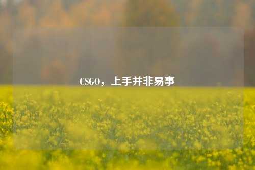 CSGO,上手并非易事