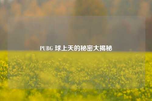 PUBG 球上天的秘密大揭秘