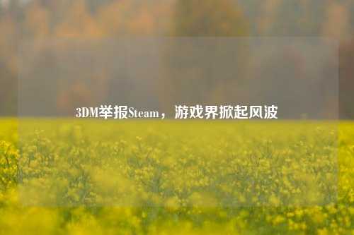 3DM举报Steam,游戏界掀起风波