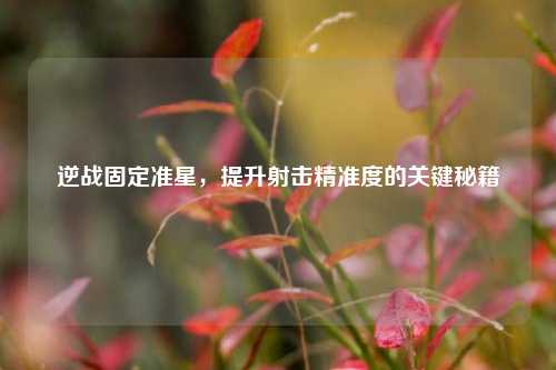 逆战固定准星,提升射击精准度的关键秘籍