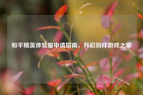 和平精英体验服申请指南,开启别样游戏之旅
