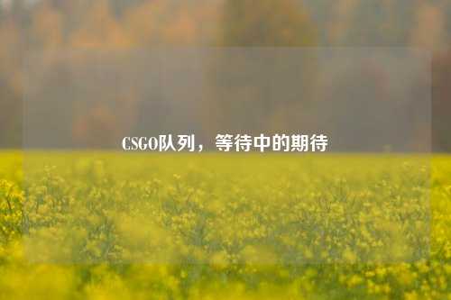 CSGO队列,等待中的期待