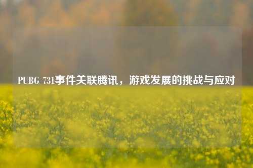 PUBG 731事件关联腾讯,游戏发展的挑战与应对