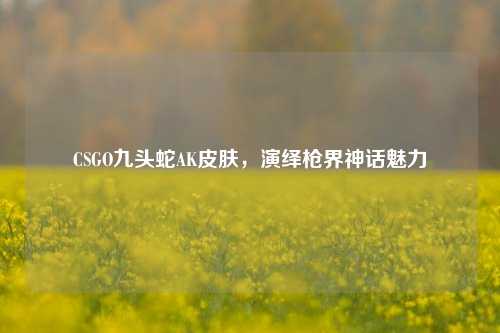 CSGO九头蛇AK皮肤,演绎枪界神话魅力