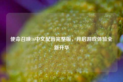 使命召唤16中文配音完整版,开启游戏体验全新升华