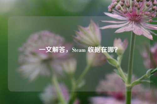 一文解答,Steam 收据在哪?
