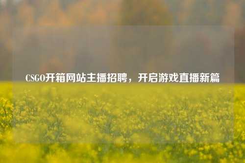 CSGO开箱网站主播 *** ,开启游戏直播新篇