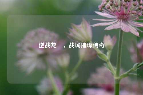 逆战龙姫,战场璀璨传奇