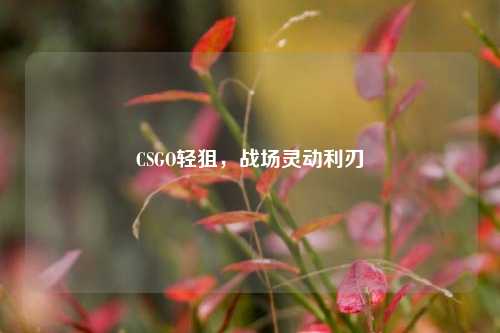 CSGO轻狙,战场灵动利刃