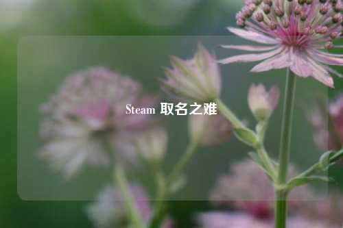 Steam 取名之难