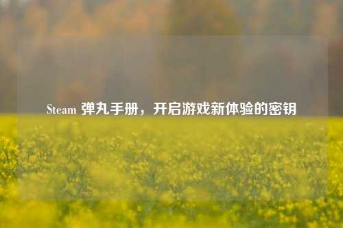 Steam 弹丸手册,开启游戏新体验的密钥