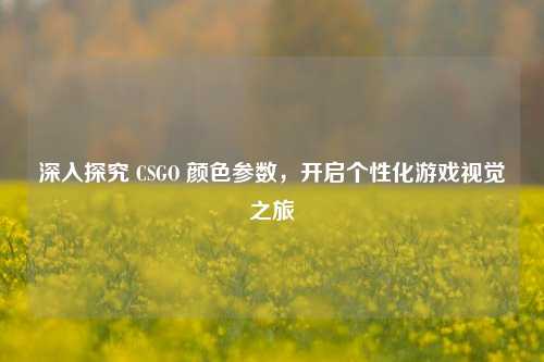 深入探究 CSGO 颜色参数,开启个性化游戏视觉之旅
