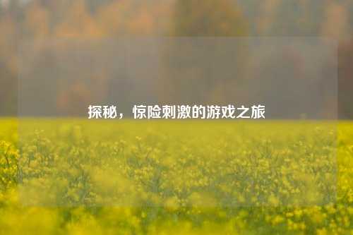 探秘,惊险***的游戏之旅